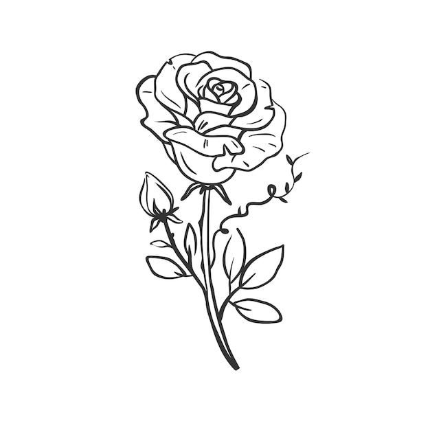 Belle Rose Dessinée à La Main Dans Un Style Old School. Illustration Vectorielle De Rose Isolée Sur Blanc