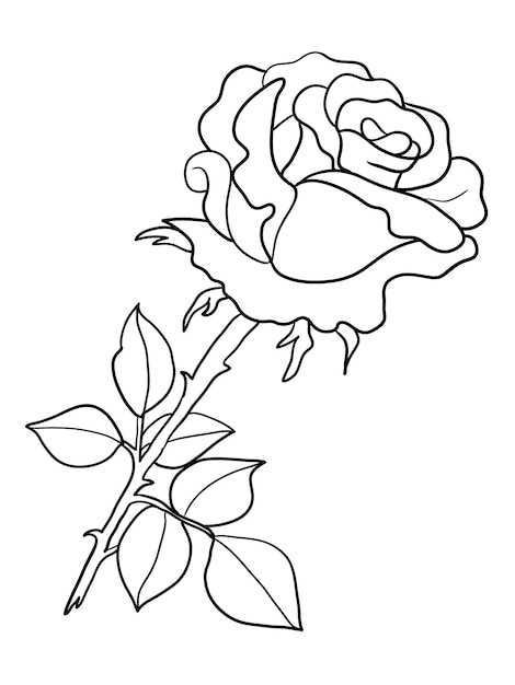 Vecteur une belle rose pour les livres de coloriage ou les dessins de tatouage.