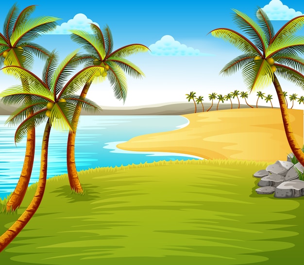 belle vue de plage tropicale avec des cocotiers sur la côte près du champ vert