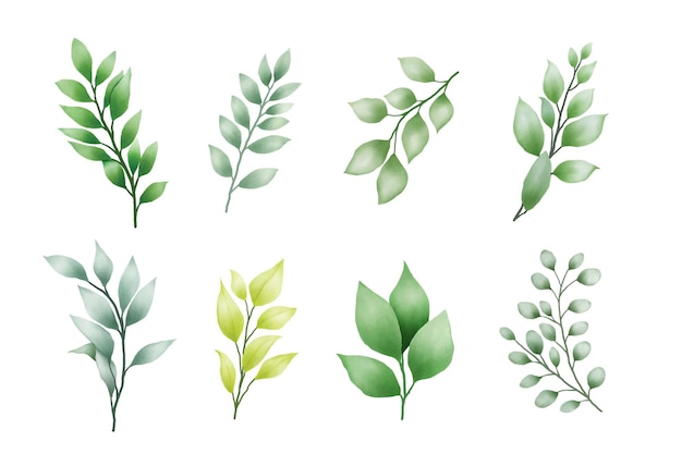 belles feuilles vertes à l'arrière-plan aquarelle
