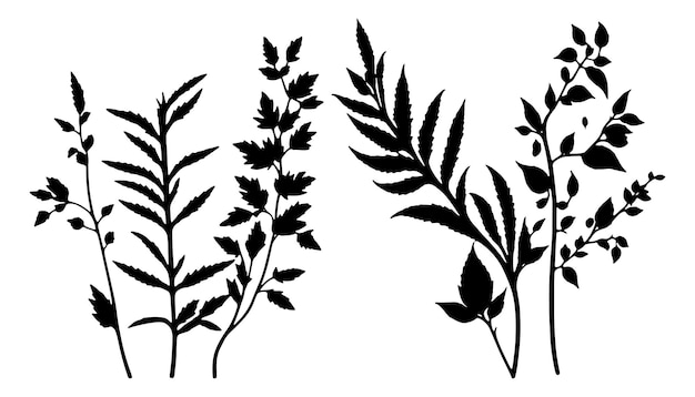 Belles Petites Plantes Silhouette Vecteur Plantes Vecteur Ensemble De Silhouette De Plante