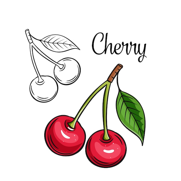 Berry Dessiné à La Main Dans L'illustration De Fruits D'été De Style Rétro