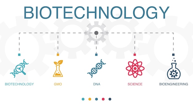 Biotechnologie OGM ADN Science icônes de bio-ingénierie Modèle de conception infographique Concept créatif avec 5 étapes
