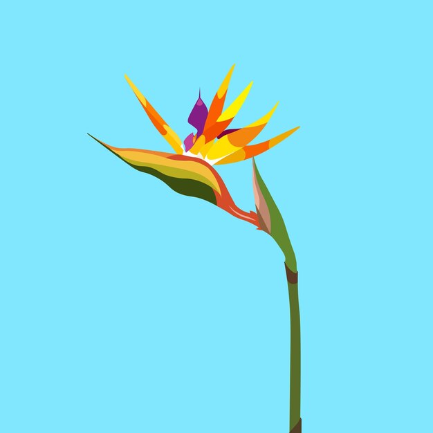 Vecteur bird of paradise