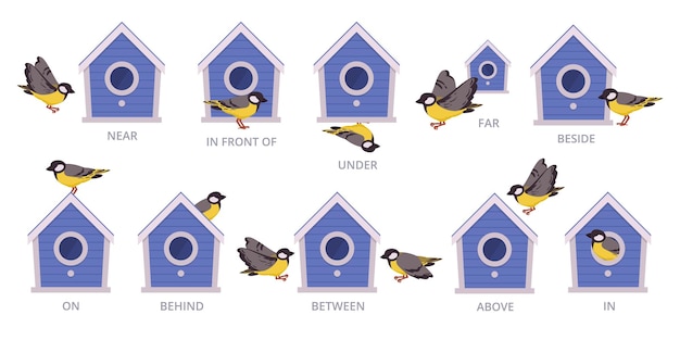 Vecteur birdhouse prépositions anglaises les oiseaux position de la maison d'oiseau au-dessus autour et au-dessus de l'illustration vectorielle plate set de prépositions éducation scolaire