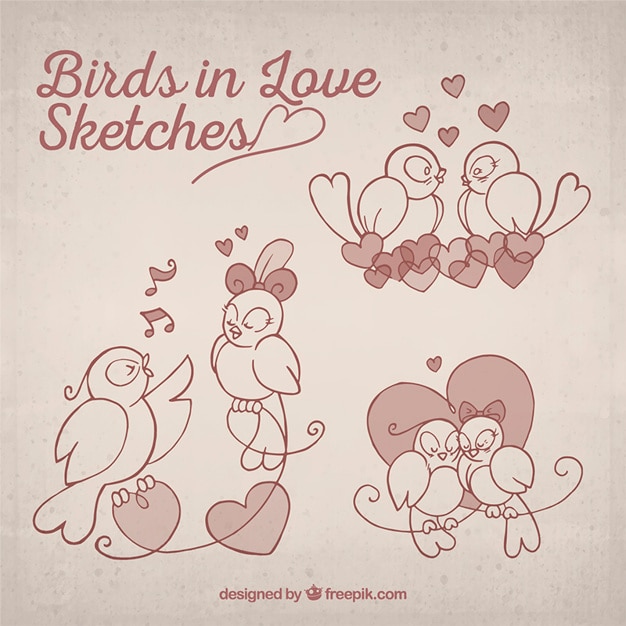 Vecteur birds in love croquis