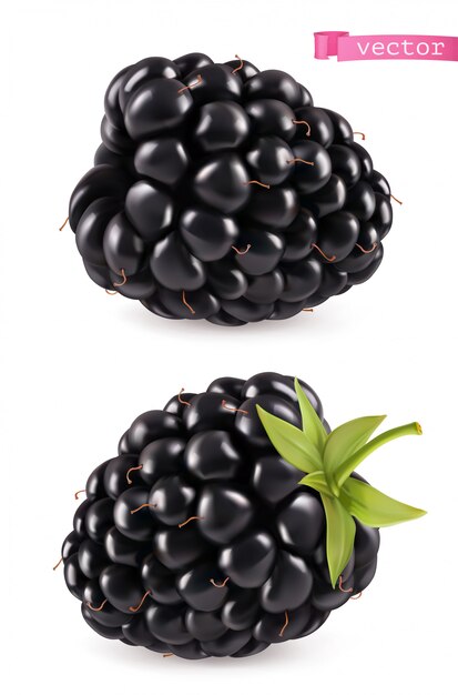 Blackberry, 3d réaliste