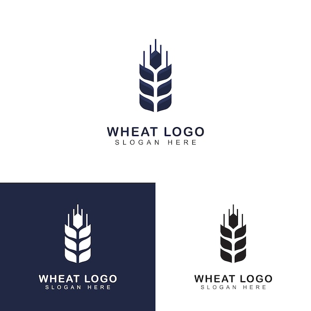 Vecteur blé ou grain logo blé prime icône illustration vectorielle