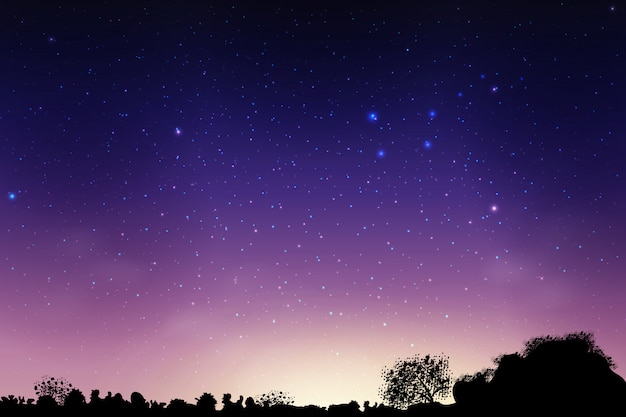 Vecteur bleu ciel nocturne à la campagne