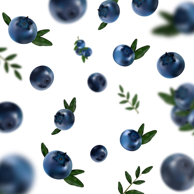 Bleuets flottants avec modèle vectoriel de feuilles vertes