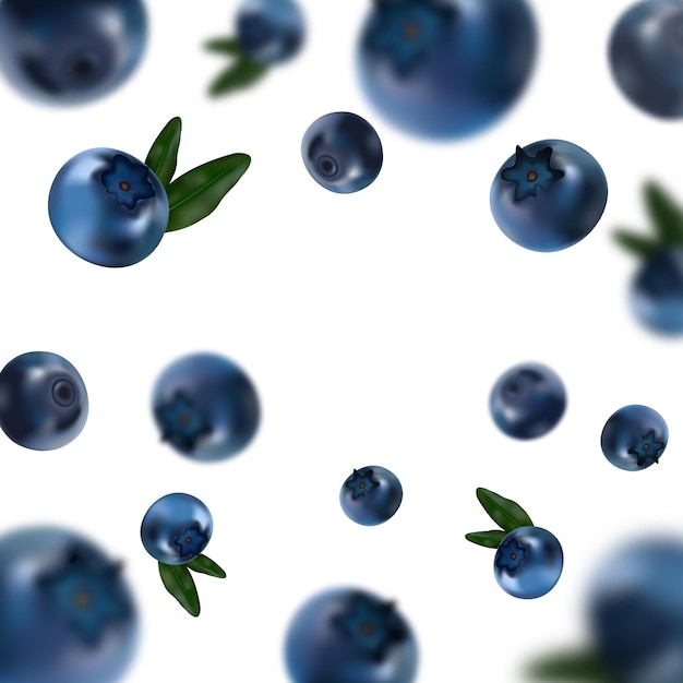 Bleuets flottants avec modèle vectoriel de feuilles vertes
