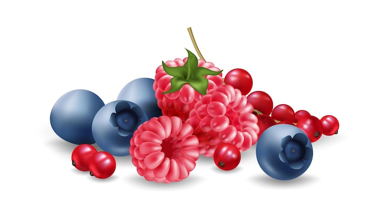 Vecteur des bleuets réalistes, des framboises, des raisins secs, des fruits délicieux pour n'importe quel design d'été.