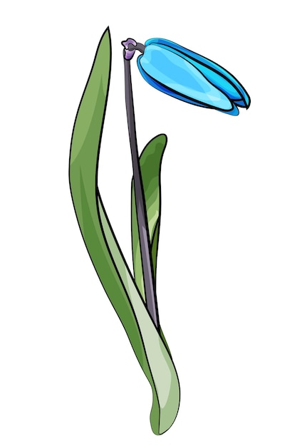 Bluebell Printemps Fleur Bleue Illustration