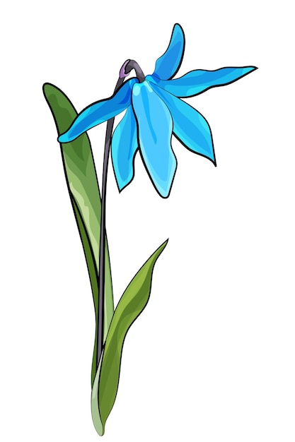 Vecteur bluebell printemps fleur bleue illustration