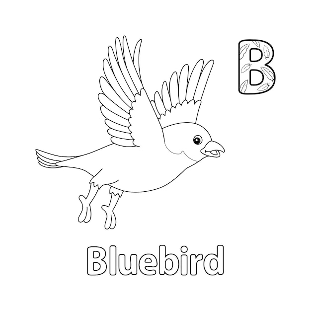 Vecteur bluebird alphabet abc isolé coloriage page b