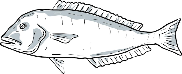 Vecteur blueline tilefish poisson golfe du mexique dessin de dessin animé