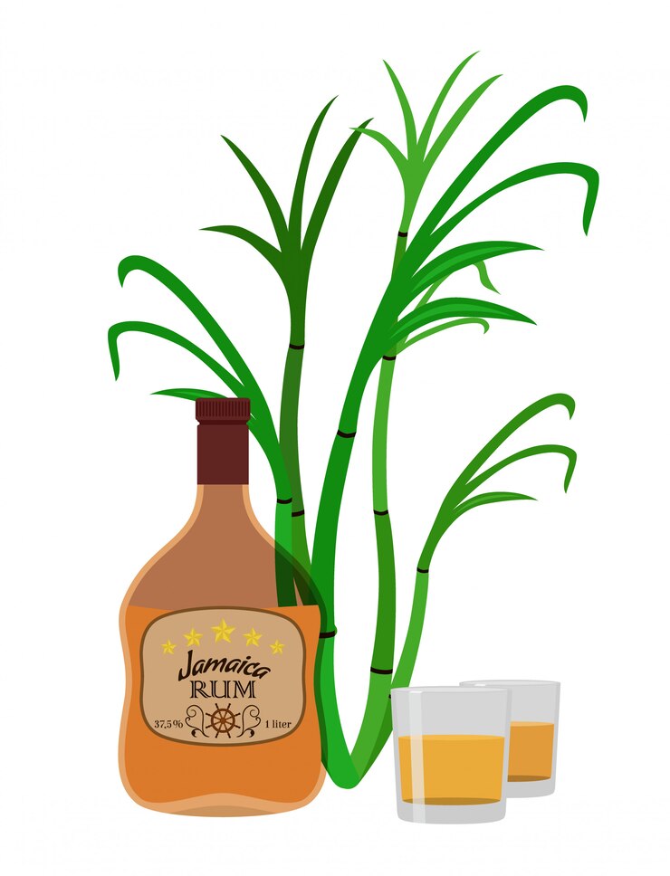 Boire de l&#39;alcool