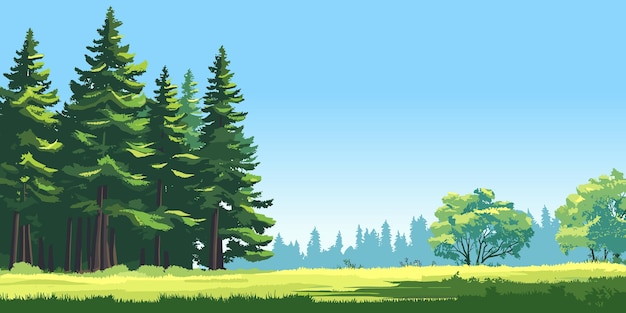 Bois au bord de la forêt sauvage grands arbres verts été jour ensoleillé nature vecteur panorama arrière-plan