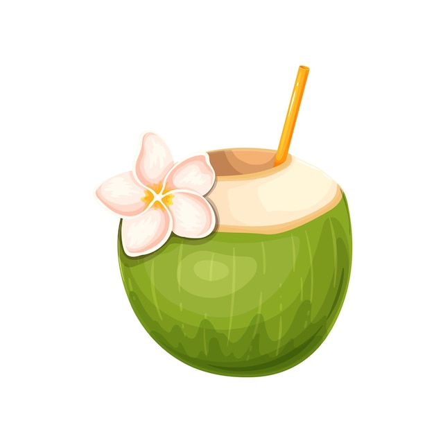 Boisson à L'eau De Coco Avec Paille. Illustration Vectorielle De Jeune Lait De Coco Vert Ouvert.