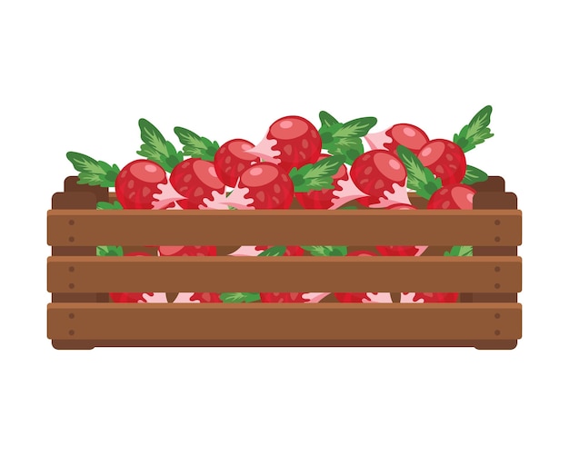 Boîte En Bois Avec Radis Alimentation Légumes Agriculture Illustration Vecteur