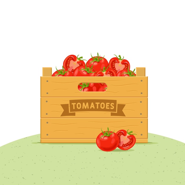 Vecteur boîte en bois avec des tomates sur une colline verte icône de boîte à légumes illustration vectorielle