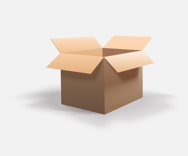 boîte en carton vectoriel1