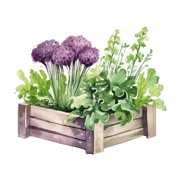 Boîte De Jardin Aquarelle Avec Illustration De Plantes En Croissance