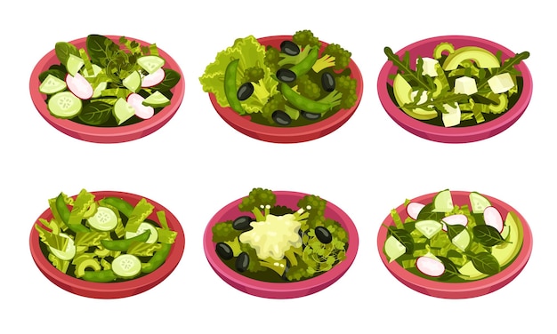 Vecteur un bol de salade avec de la verdure juteuse et un ensemble de vecteurs de vinaigre à l'huile