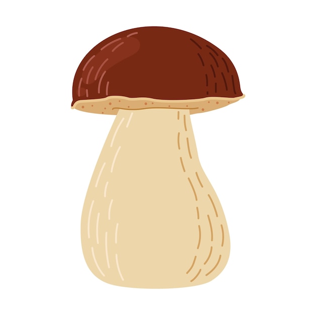 Vecteur boletus edulis champignon de forêt porcini dessiné à la main