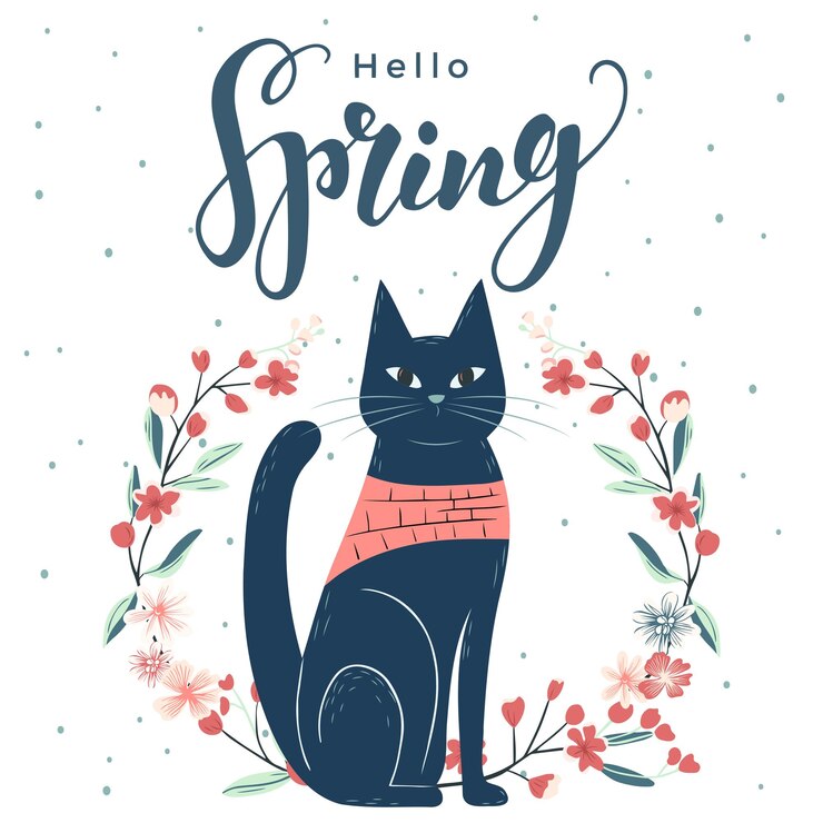 Vecteur bonjour affiche de printemps design de printemps à la mode avec chat et texte affiche de carte de vœux bannière