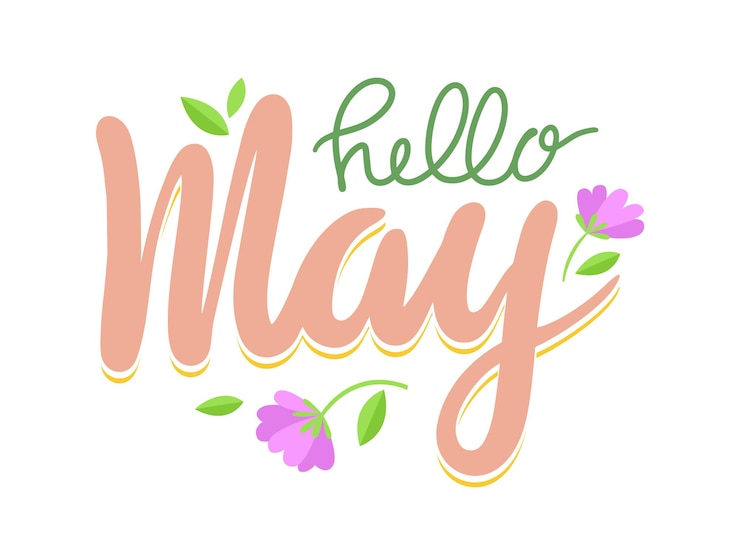 Vecteur bonjour bannière de mai, lettrage de voeux de saison de printemps avec des fleurs et des feuilles vertes sur fond blanc. conception de calligraphie avec des éléments naturels, typographie pour l'impression de t-shirts. illustration vectorielle de dessin animé