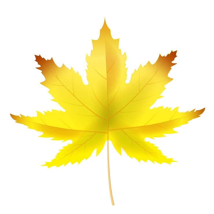 Vecteur bonjour feuille d'automne