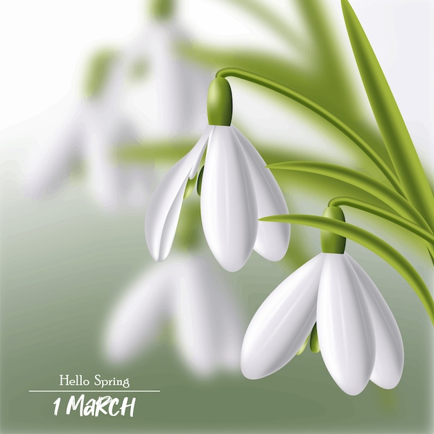 Bonjour printemps, 1 mars perce-neige illustration de symbole de printemps réaliste