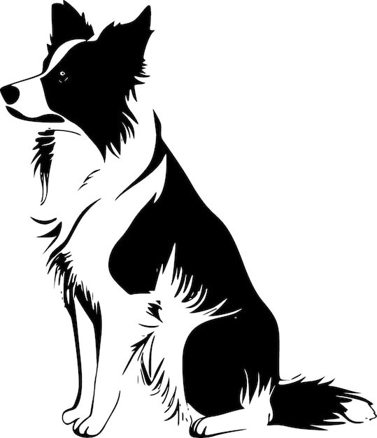 Border Collie noir et blanc isolé icône illustration vectorielle