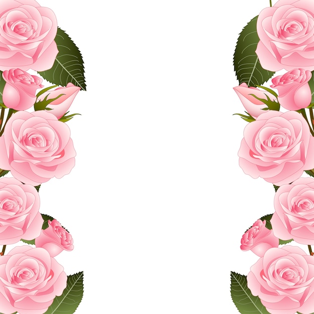 Bordure De Cadre Fleur Rose Rose