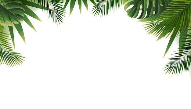 Bordure De Feuilles Tropicales Isolée Sur Fond Blanc Avec Filet De Dégradé, Illustration Vectorielle