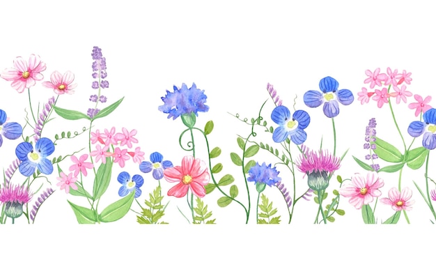 Bordure Florale Aquarelle Transparente Avec Des Feuilles De Fleurs Sauvages Colorées