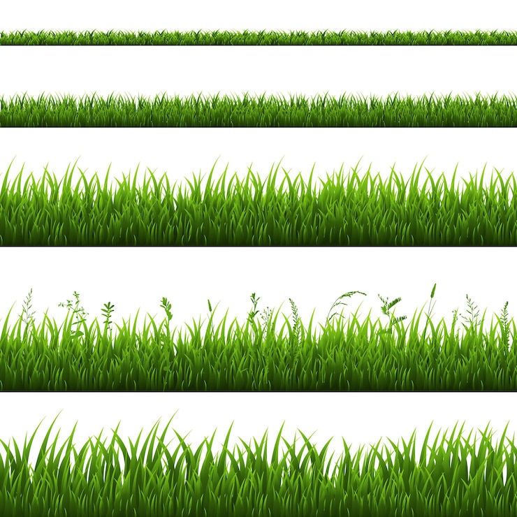 Vecteur bordure d'herbe isolée