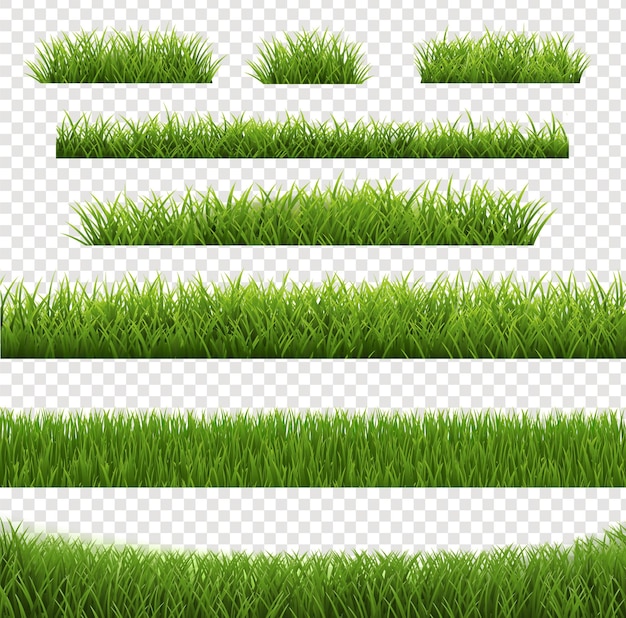Bordure d'herbe verte et fond transparent isolé