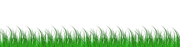 Bordure D'herbe Verte Silhouette D'herbe Sur Fond Transparent