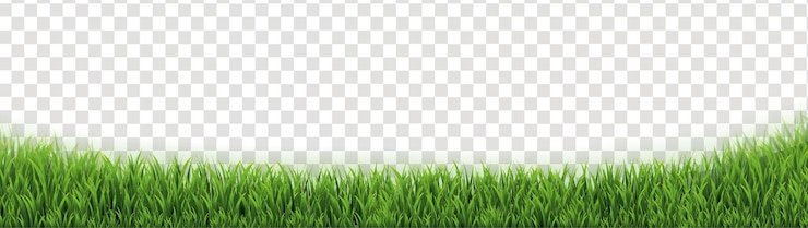 Vecteur bordure d'herbe