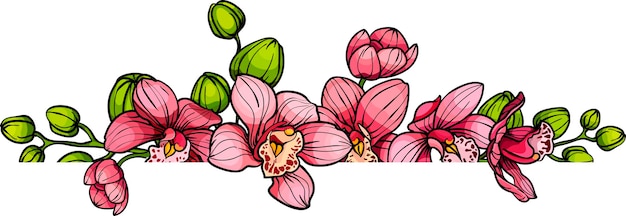 Vecteur bordure horizontale de fleurs d'orchidée rose dessinée à la main dessin de croquis illustration vectorielle pour l'événement de mariage