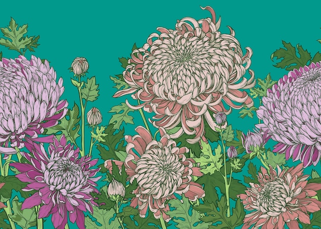 Bordure Sans Couture De Chrysanthèmes Et De Feuilles à Fond Turquoise Illustration Vectorielle Dessinée à La Main