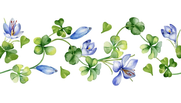 Vecteur bordure sans couture avec du safran et du trèfle illustration à l'aquarelle isolée sur blanc plantes à base de plantes et fleurs peintes à la main symbole irlandais élément de conception pour l'emballage de pâques de la saint-patrick