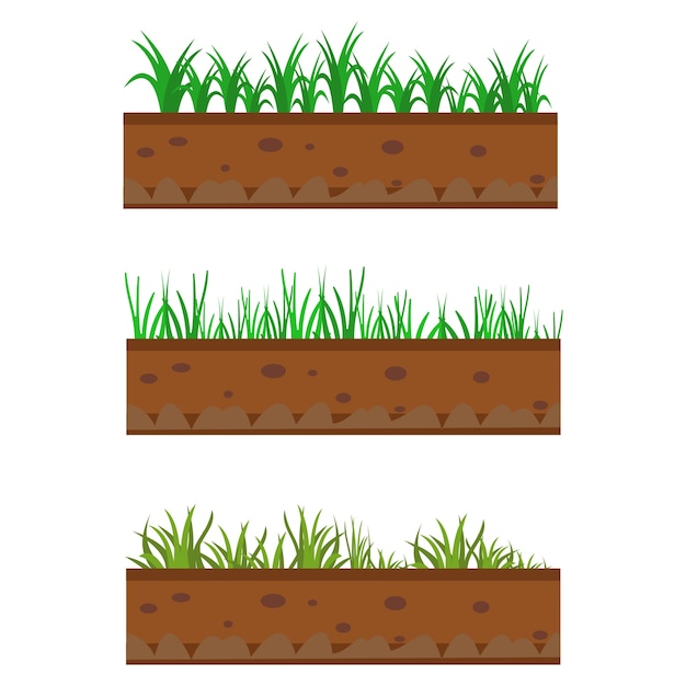 Bordure De Terre Et D'herbe