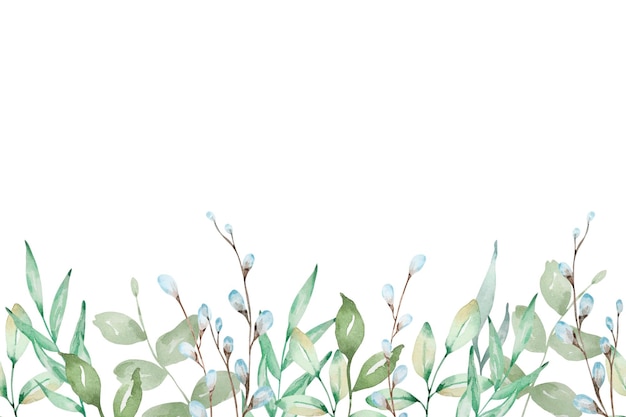 Bordure Transparente Aquarelle De Branches De Saule