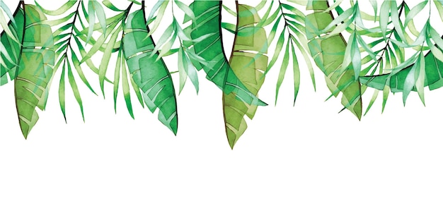 Vecteur bordure transparente aquarelle avec des feuilles tropicales transparentes banane verte et feuilles de palmier xray