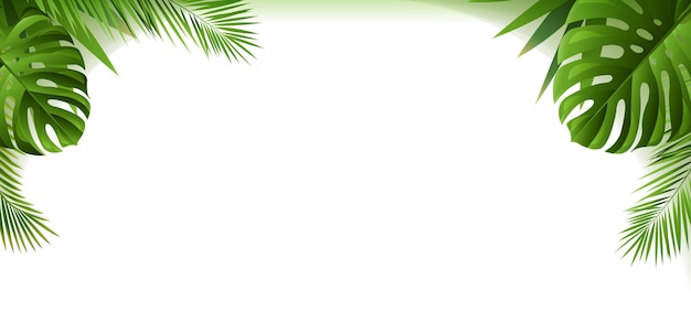 Bordure tropicale avec des feuilles vertes