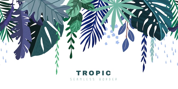 Bordure tropicale sans soudure art vectoriel dessiné à la main