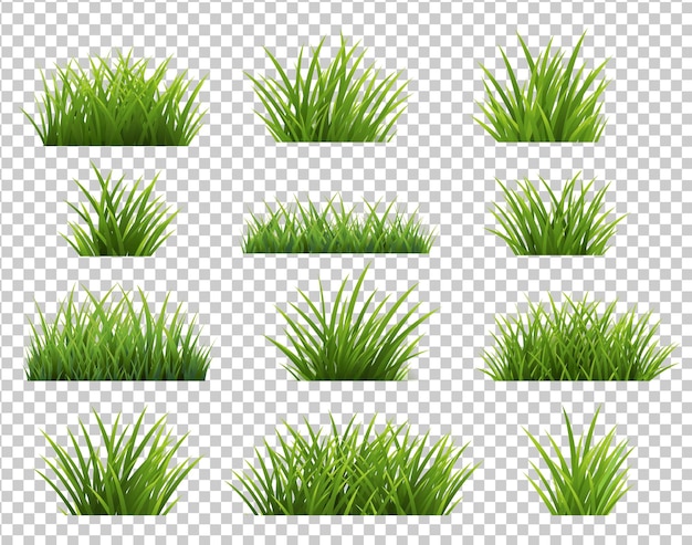 Bordures Herbe Verte Ensemble Isolé Sur Fond Transparent